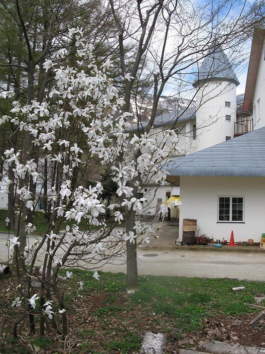 Grindelwald Hotel Yuzawa  Buitenkant foto